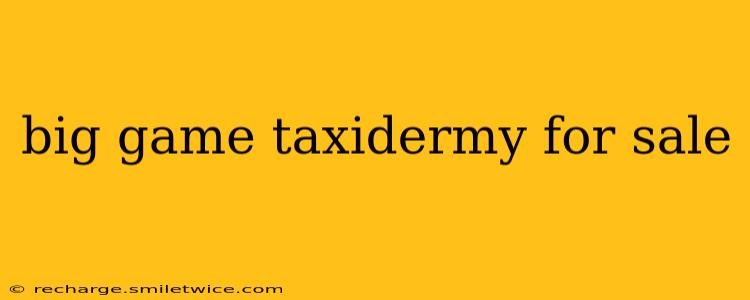 big game taxidermy for sale