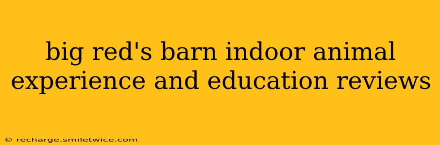 big red's barn indoor animal experience and education reviews