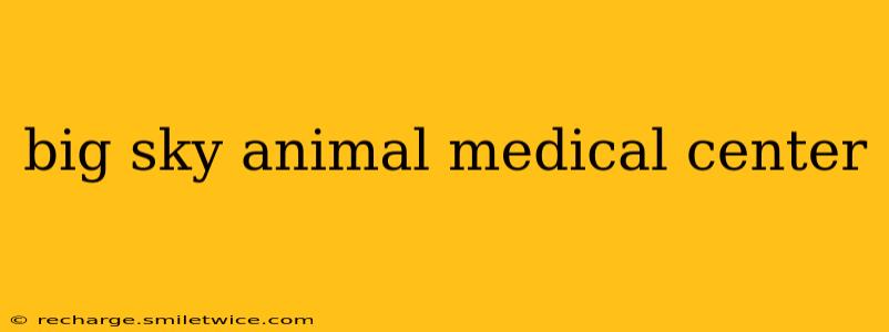 big sky animal medical center