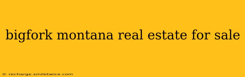 bigfork montana real estate for sale