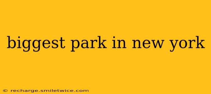 biggest park in new york