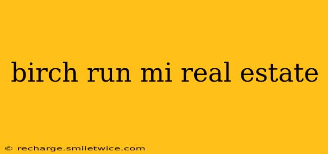 birch run mi real estate