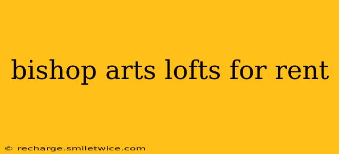 bishop arts lofts for rent
