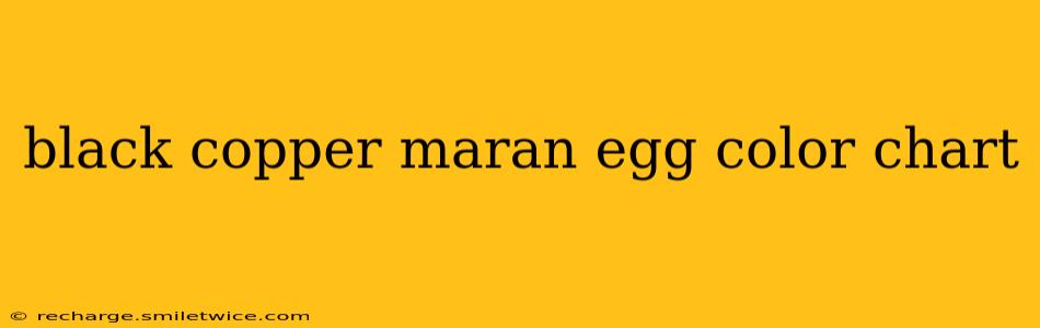 black copper maran egg color chart