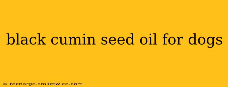 black cumin seed oil for dogs