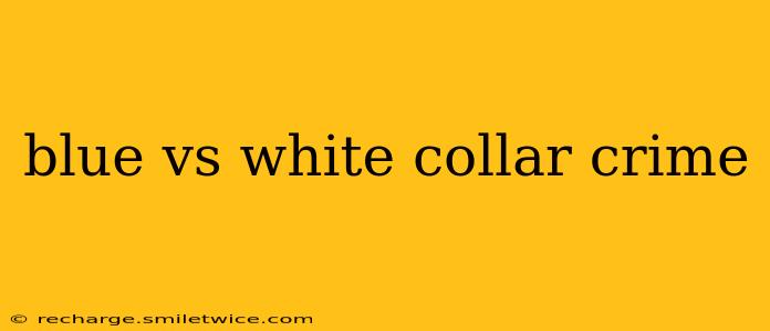 blue vs white collar crime