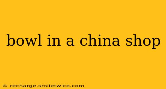 bowl in a china shop