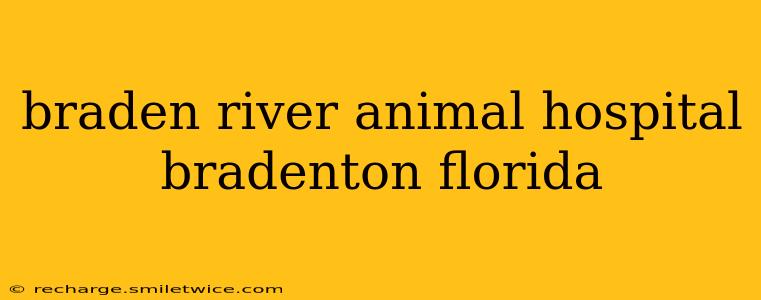 braden river animal hospital bradenton florida