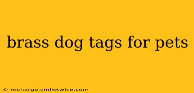 brass dog tags for pets