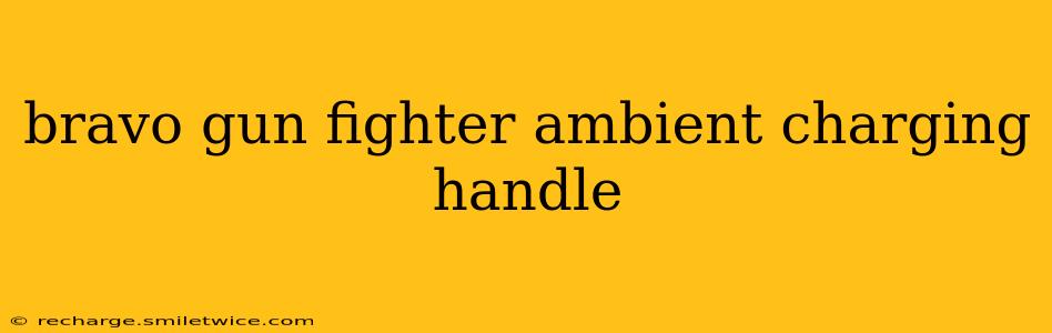 bravo gun fighter ambient charging handle