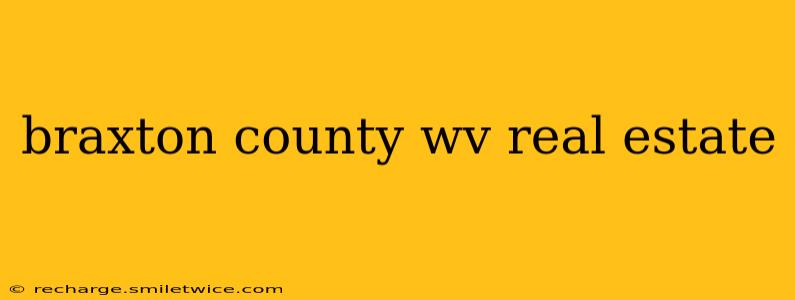 braxton county wv real estate