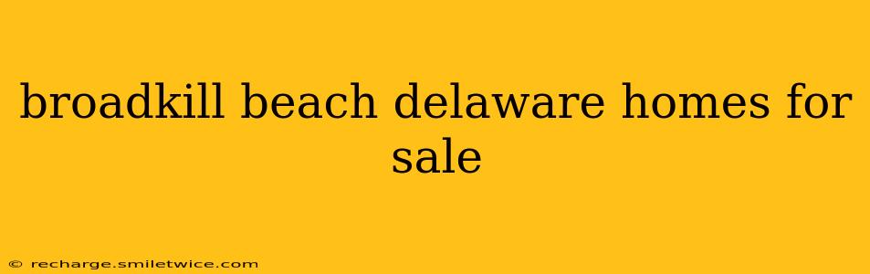 broadkill beach delaware homes for sale
