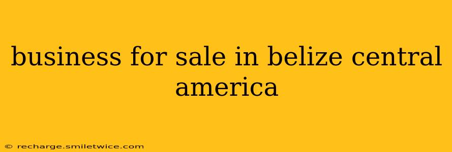 business for sale in belize central america