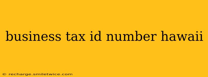 business tax id number hawaii