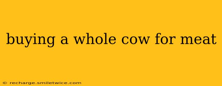 buying a whole cow for meat