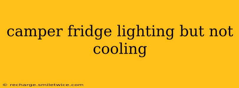 camper fridge lighting but not cooling