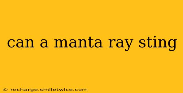 can a manta ray sting