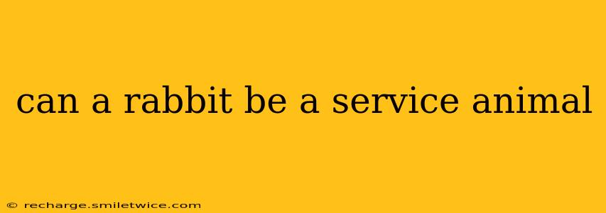 can a rabbit be a service animal
