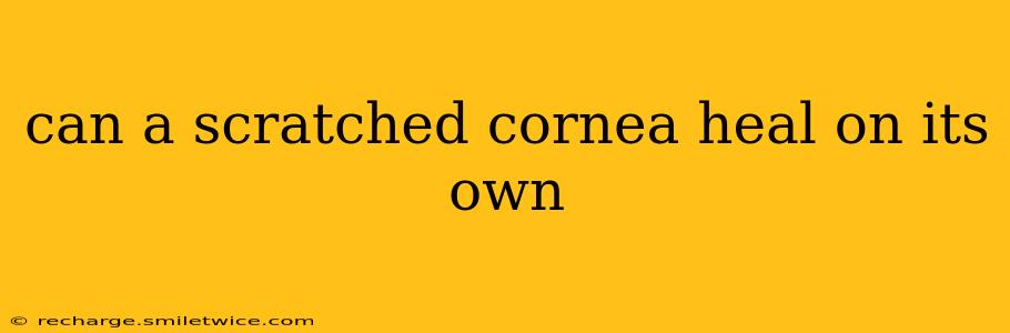 can a scratched cornea heal on its own