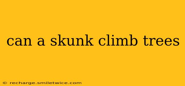 can a skunk climb trees
