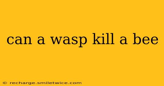 can a wasp kill a bee