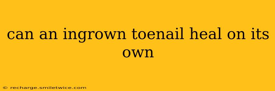 can an ingrown toenail heal on its own