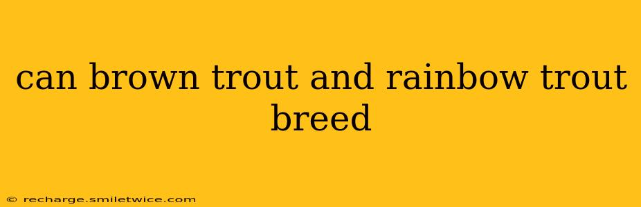 can brown trout and rainbow trout breed