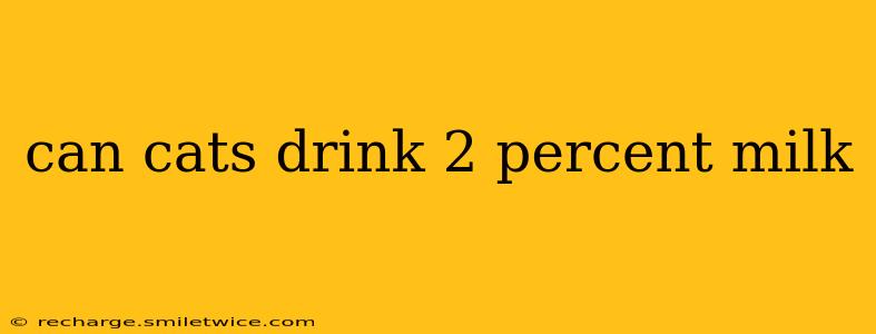 can cats drink 2 percent milk