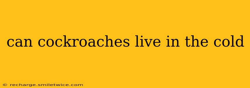 can cockroaches live in the cold