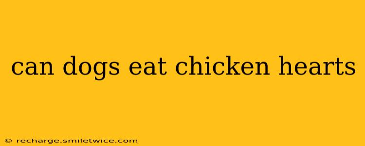 can dogs eat chicken hearts