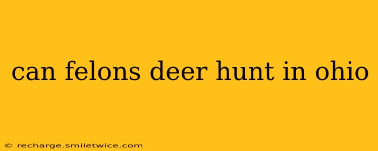 can felons deer hunt in ohio