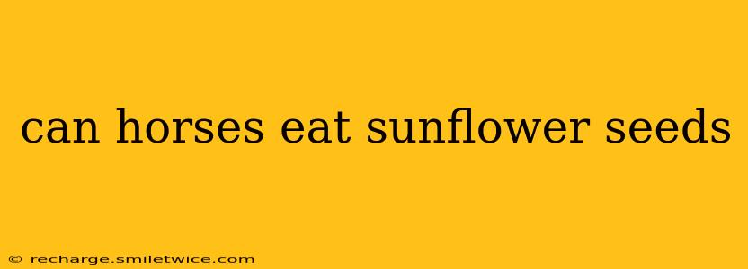 can horses eat sunflower seeds