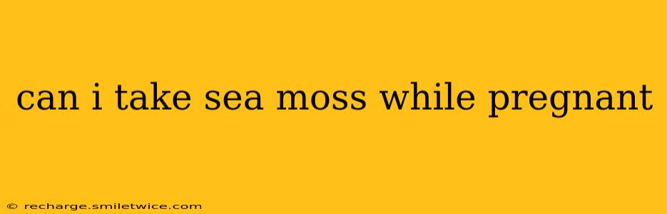 can i take sea moss while pregnant
