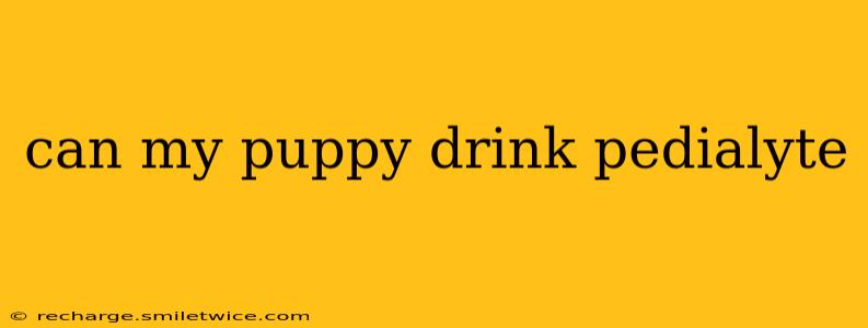 can my puppy drink pedialyte