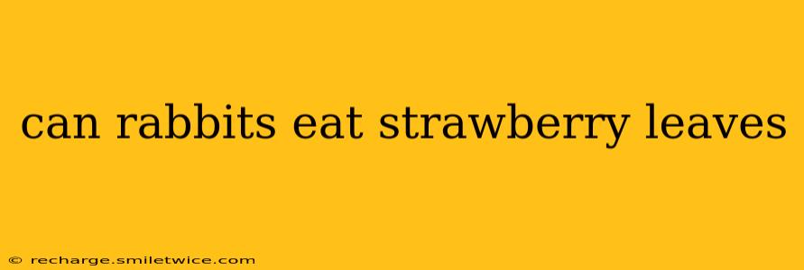can rabbits eat strawberry leaves