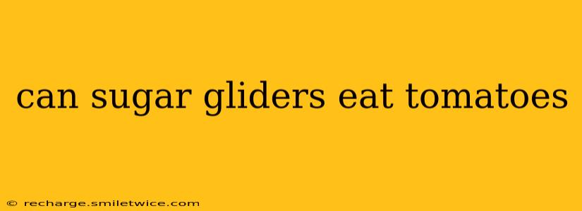 can sugar gliders eat tomatoes