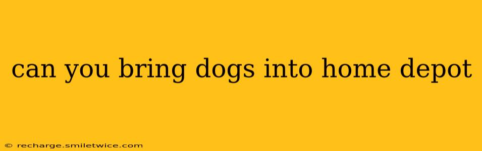 can you bring dogs into home depot