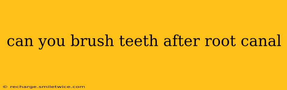 can you brush teeth after root canal