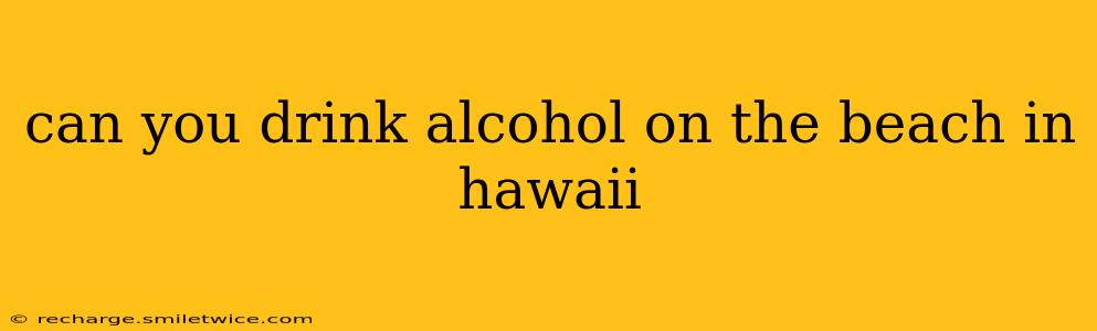 can you drink alcohol on the beach in hawaii