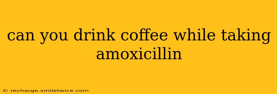 can you drink coffee while taking amoxicillin
