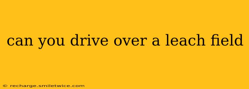 can you drive over a leach field