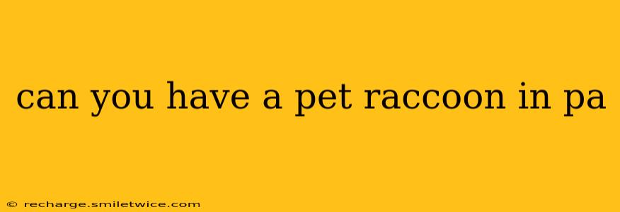 can you have a pet raccoon in pa