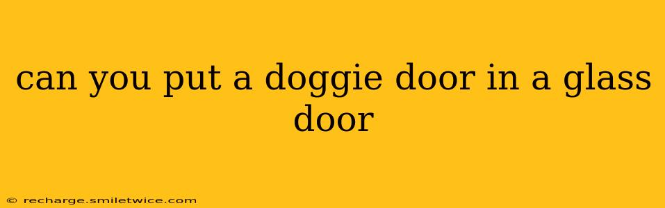 can you put a doggie door in a glass door