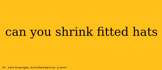 can you shrink fitted hats