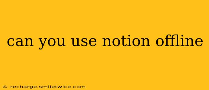 can you use notion offline