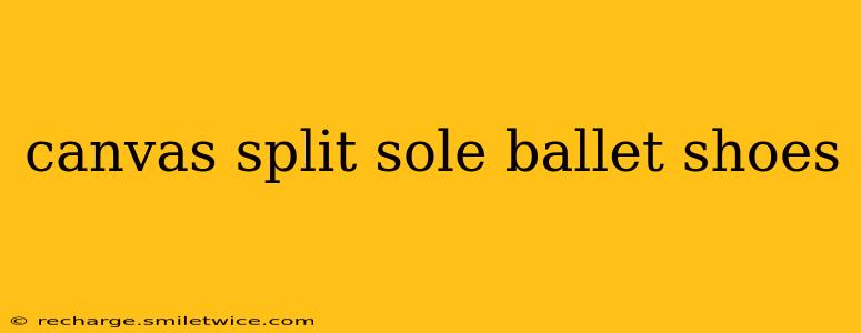 canvas split sole ballet shoes
