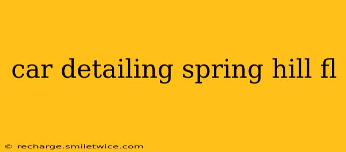 car detailing spring hill fl