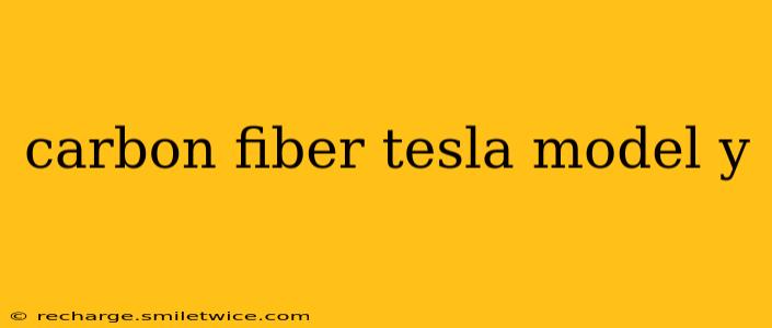 carbon fiber tesla model y