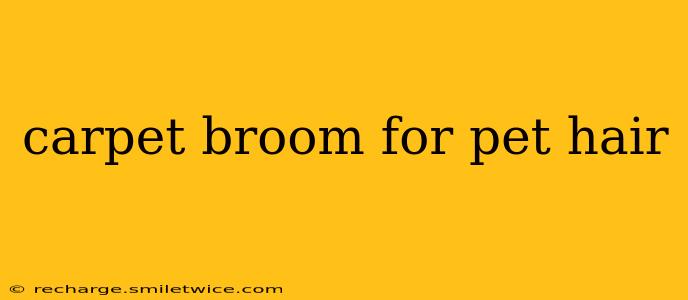 carpet broom for pet hair