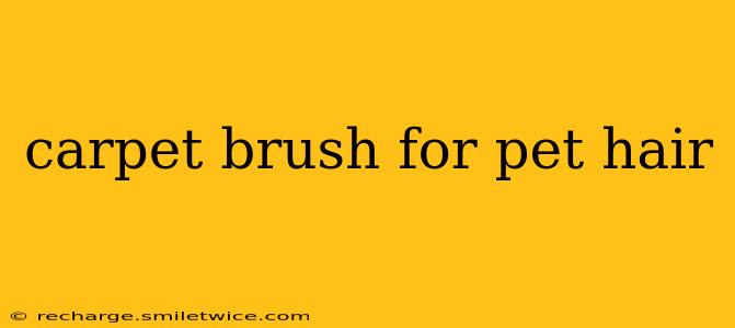 carpet brush for pet hair
